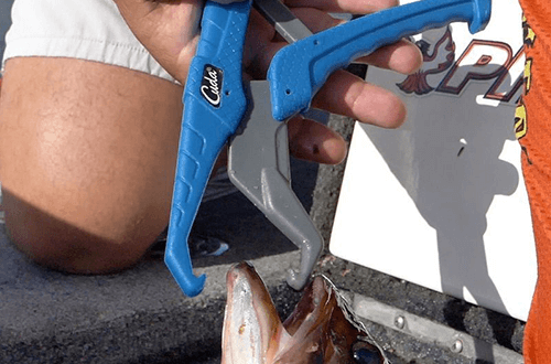 CUDA pince à poisson flottante